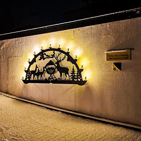 Fewo Harz Haennig 1 Wieda Exteriér fotografie