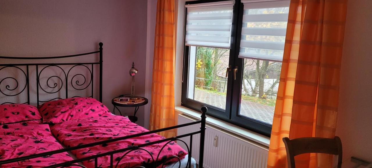 Fewo Harz Haennig 1 Wieda Exteriér fotografie