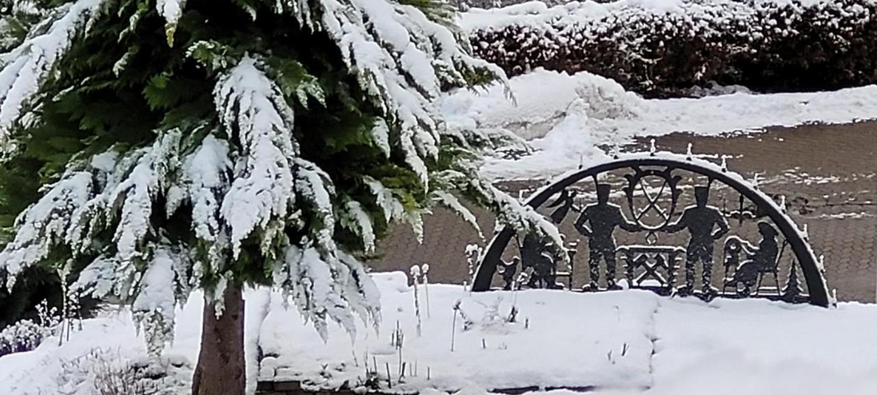 Fewo Harz Haennig 1 Wieda Exteriér fotografie