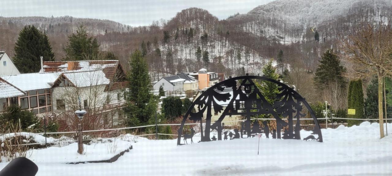 Fewo Harz Haennig 1 Wieda Exteriér fotografie