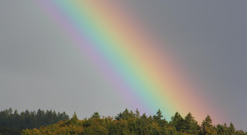 Fewo Harz Haennig 1 Wieda Pokoj fotografie