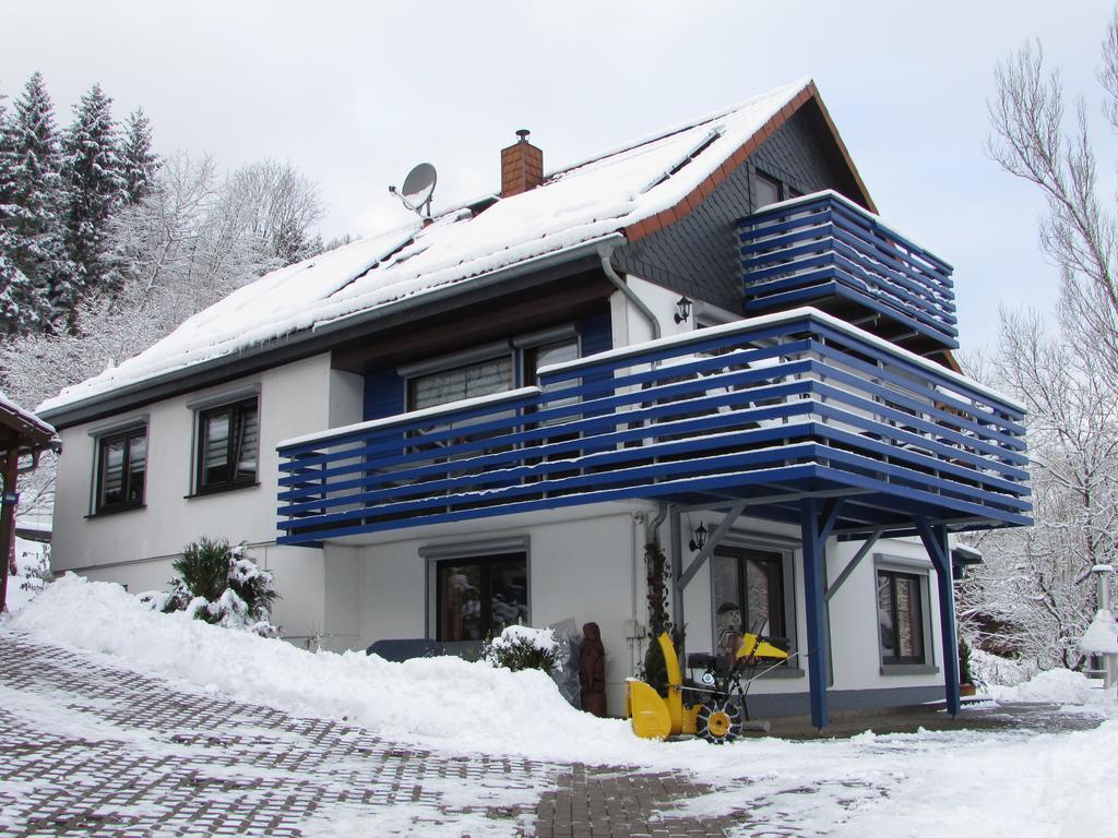 Fewo Harz Haennig 1 Wieda Exteriér fotografie