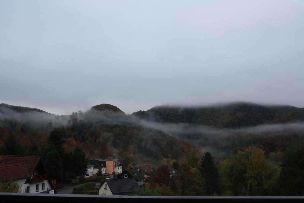 Fewo Harz Haennig 1 Wieda Exteriér fotografie
