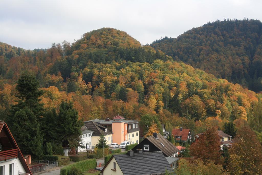 Fewo Harz Haennig 1 Wieda Exteriér fotografie